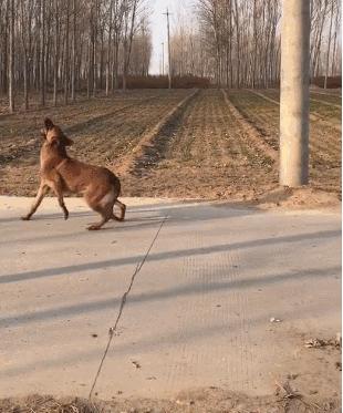 一哥们在殡仪馆守灵，闲着无聊，半夜用手机搜附近的人