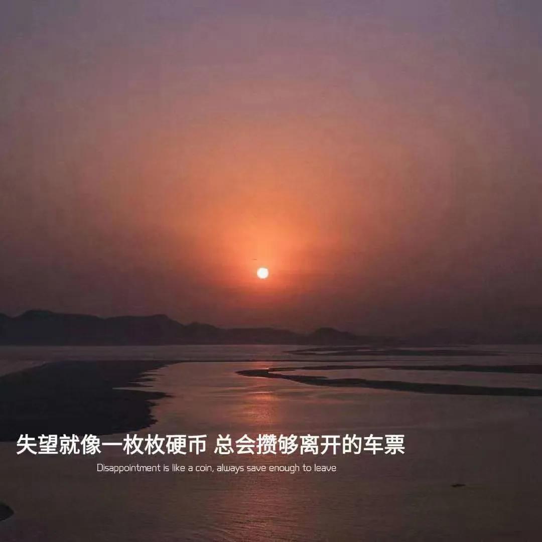 总有一条适合你的文案带英文,总有一条文案入你心