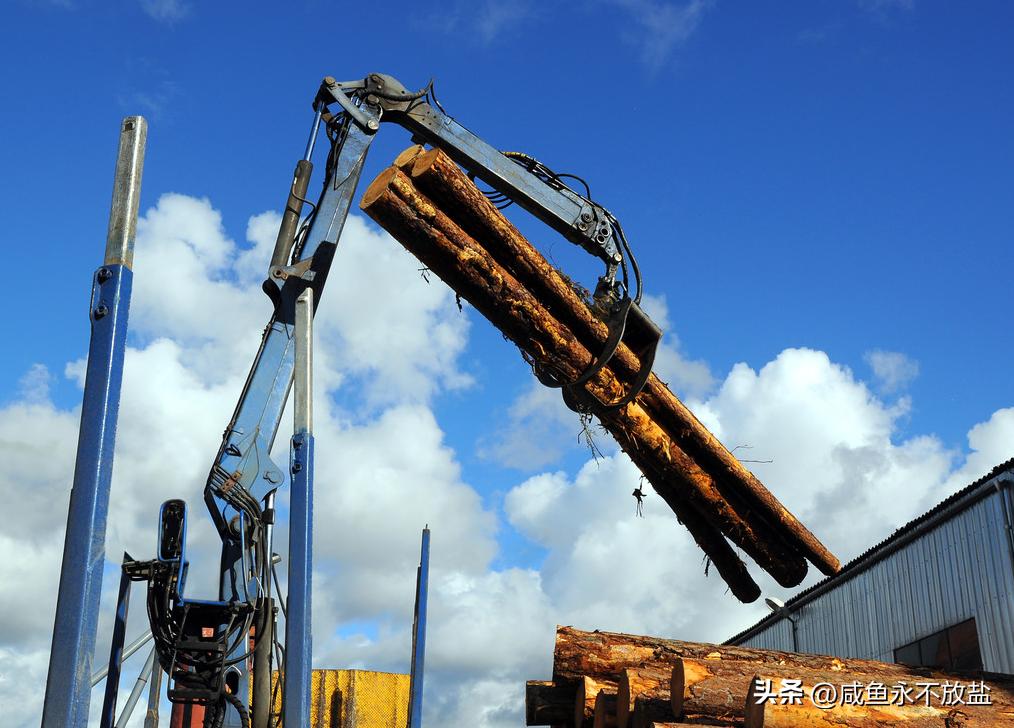 从林业运营中起重机的技术探索，分析如何提升其砍伐、剥皮等性能
