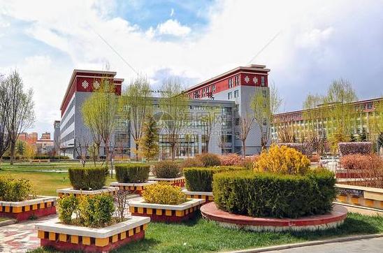 211大学毕业有没有找不到工作的,为什么211毕业的也混的不好