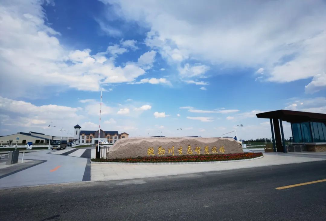 伊利金领冠奶粉哪种性价比高,伊利金领冠900克奶粉详细介绍