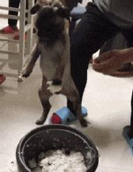 叫个女代驾花了1800是什么梗,找个代驾花了1800