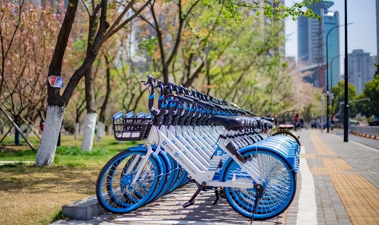 二八大杠自行车什么年代最流行,六七十年代二八大杠永久自行车