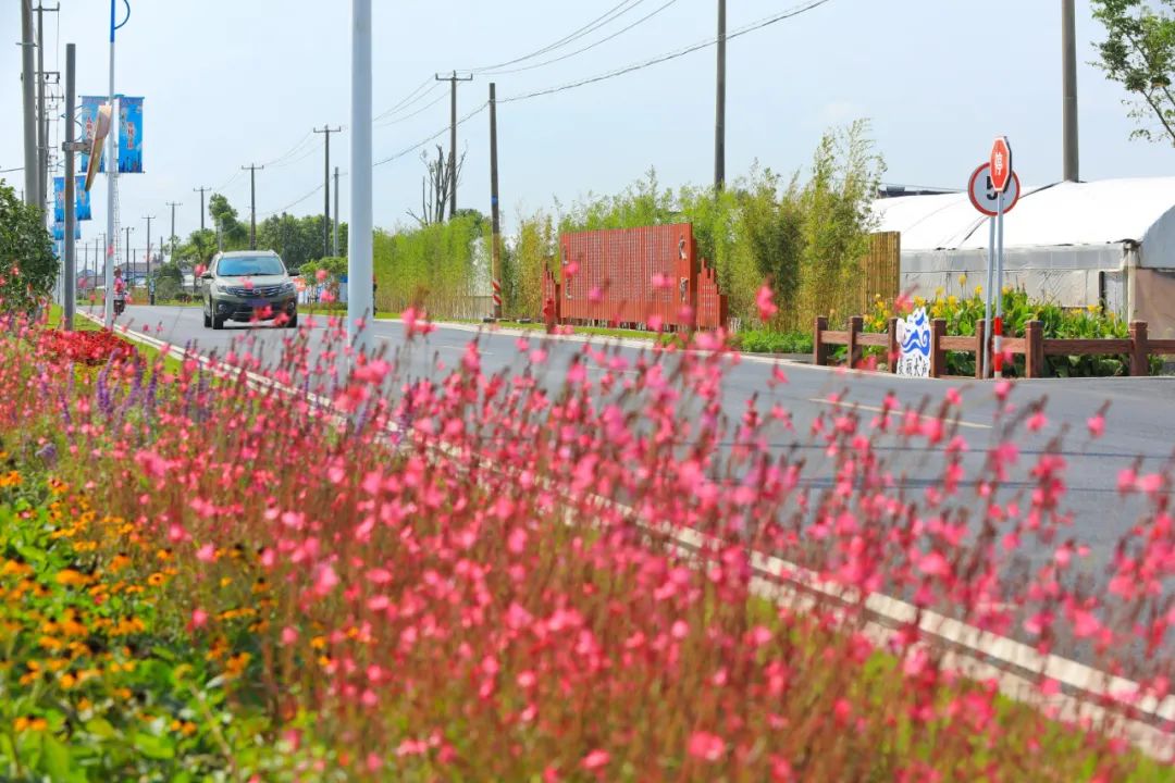 加快建设现代化都市圈,加快农村城镇化建设