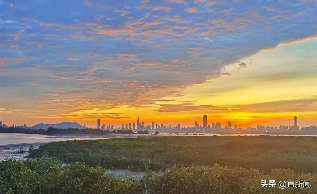 甯曟．鏂璁″闄㈡椂瑁呭睍,绾界害鏃惰璁捐瀛﹂櫌涓庡笗妫柉