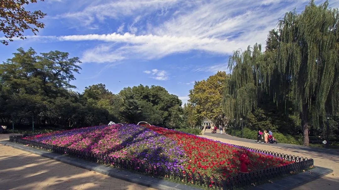 解读思考|园林行业到底赚不赚钱？