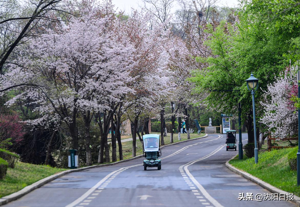 沈阳避暑洗浴,高温催热“清凉经济”