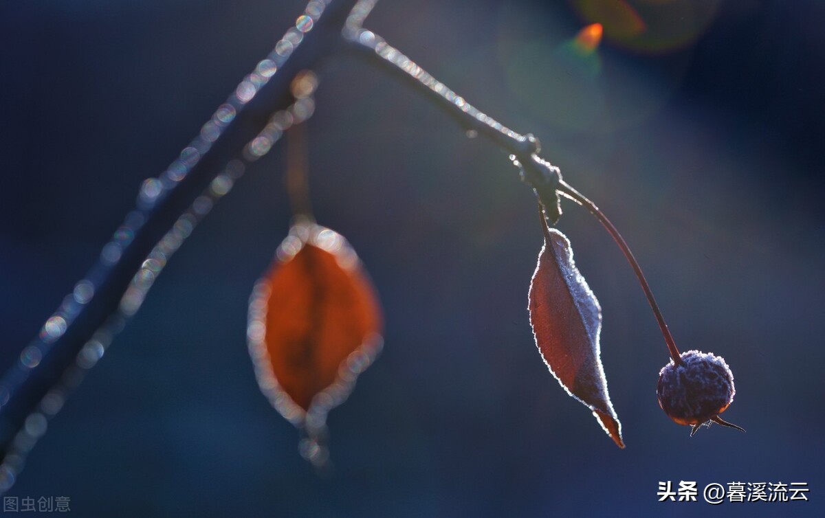 立冬诗词十首欣赏,立冬诗句经典短句带有诗意
