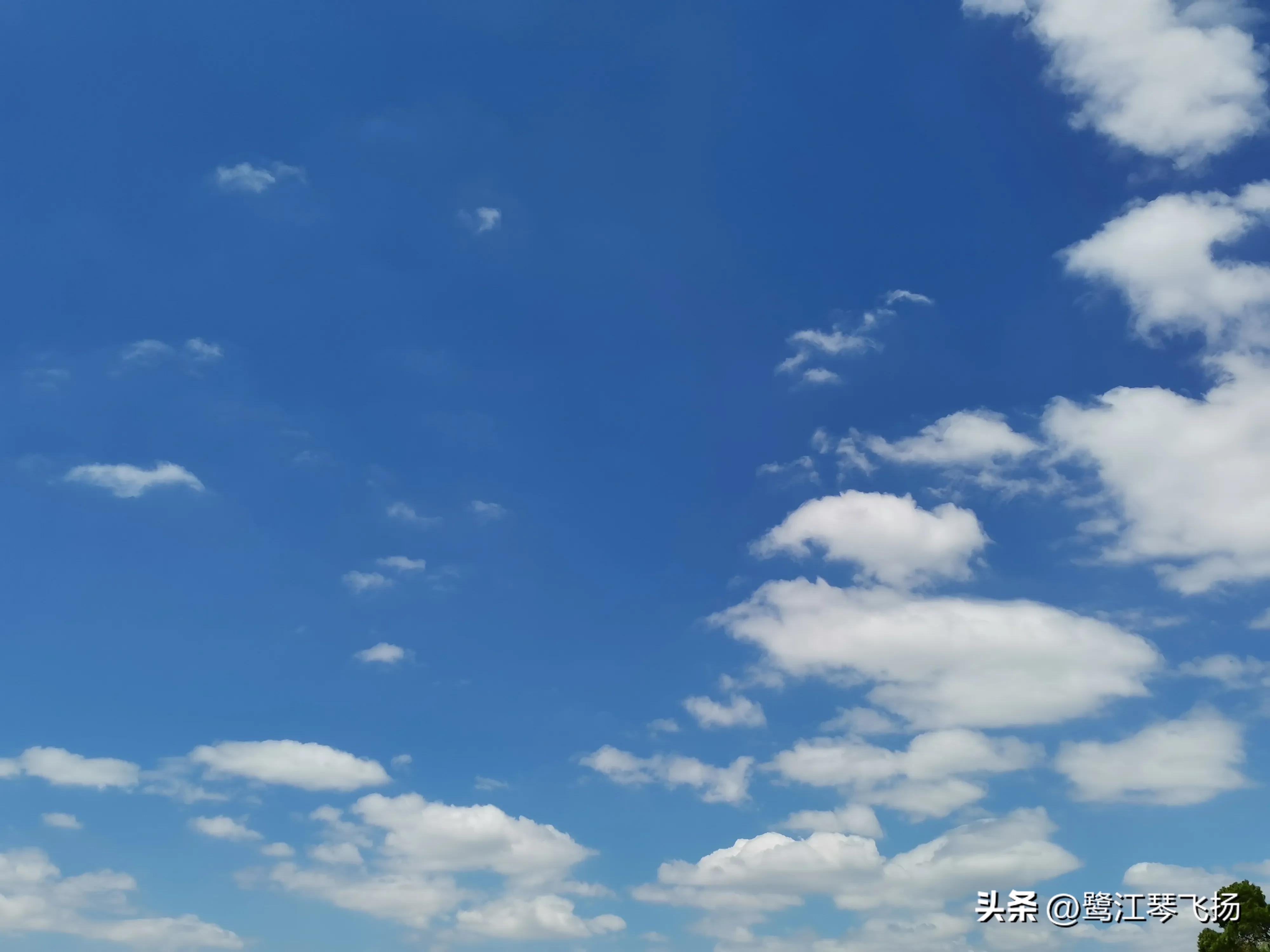 厦门最近桑拿天气,阴雨天厦门好去处