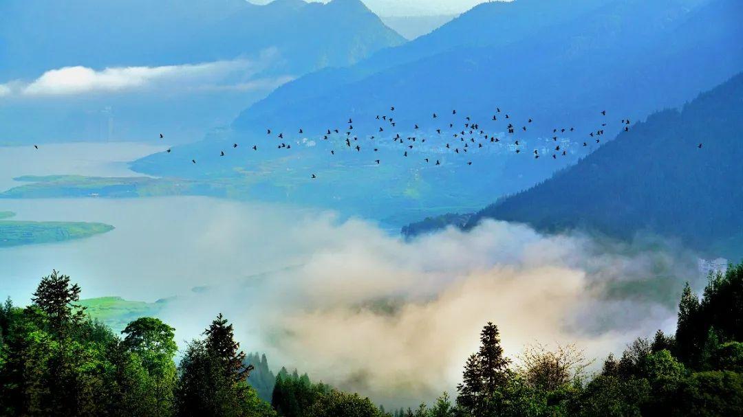 洪雅一个生你养你的地方,洪雅一个养你的地方