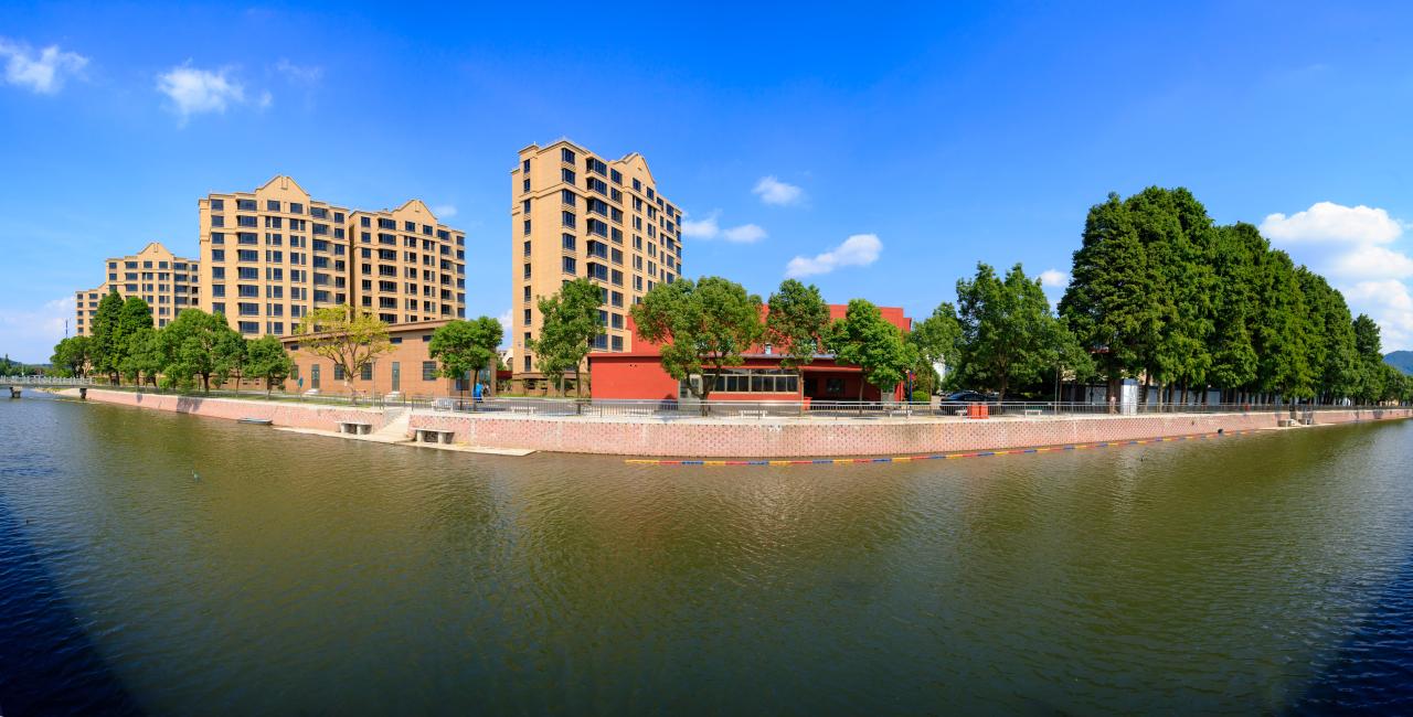 厉害了我的村丨西村：共富路上，村企共画“同心圆”