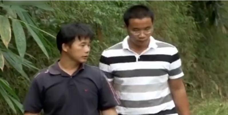 广西小伙养草鱼卖400,5亩养殖草鱼一年能赚500万