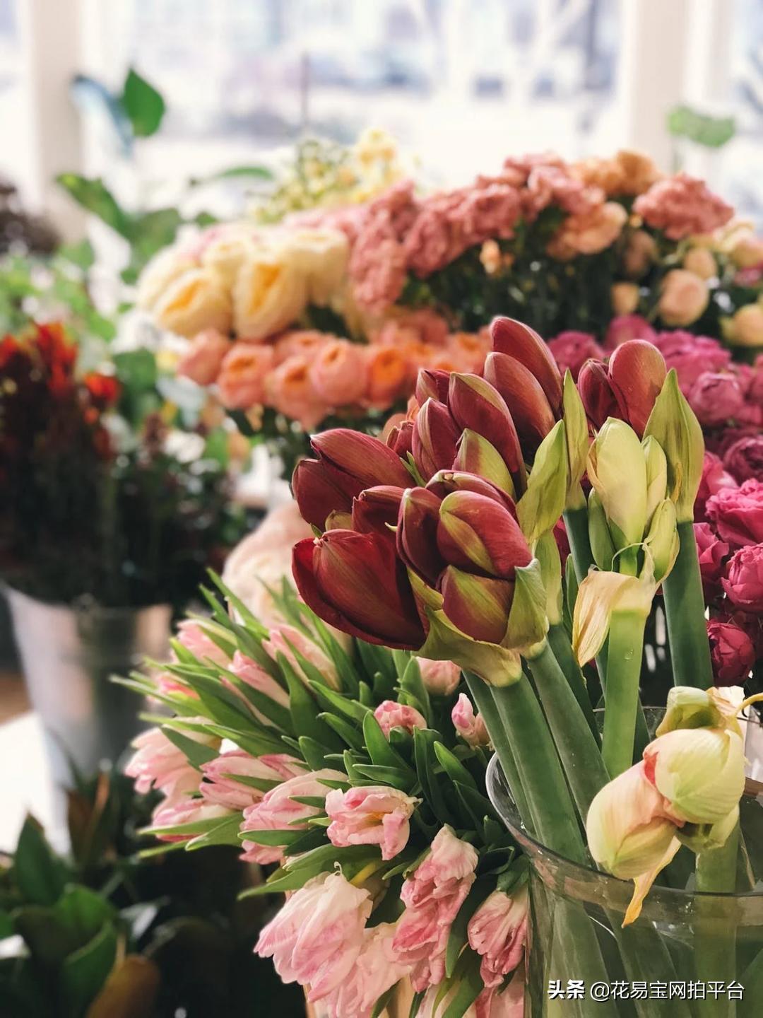 情人节快到了,教你花语速记小技巧