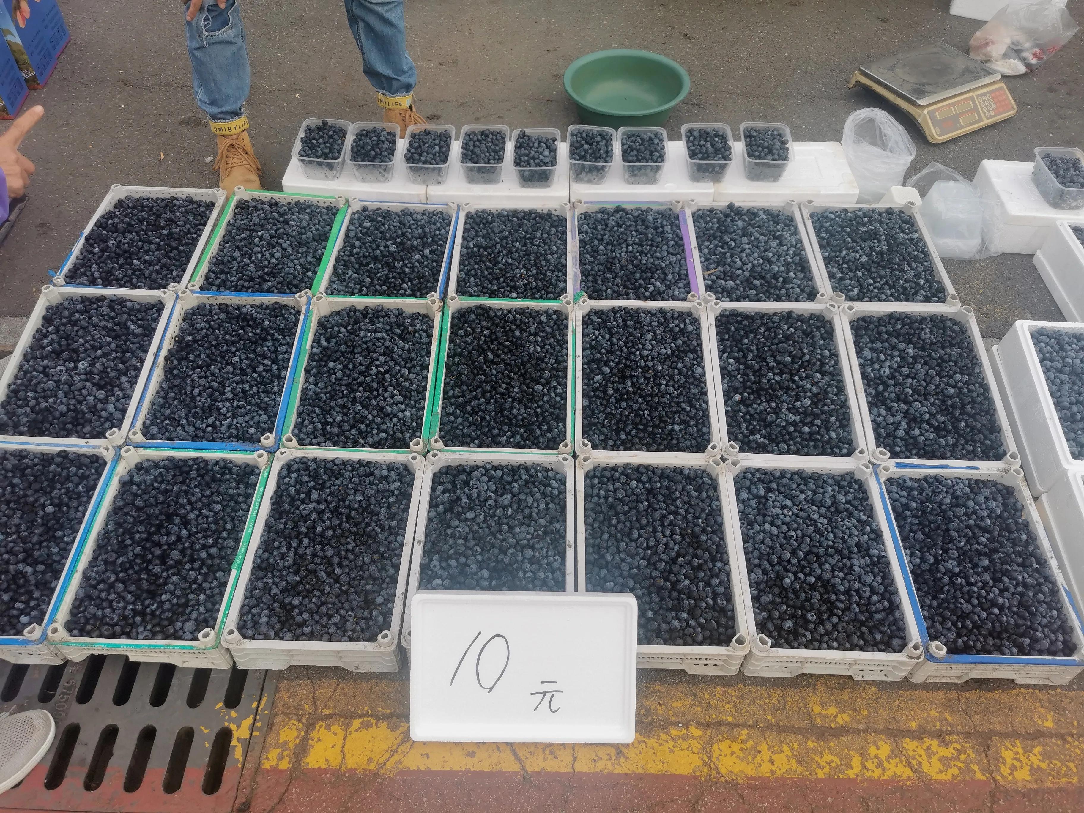 中国申请高句丽世界文化遗产遗址,高句丽历史文化遗址