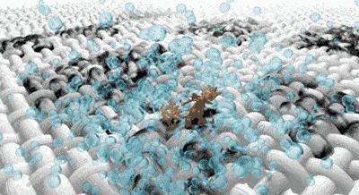 毛衣霉味怎么洗,新毛衣味道很臭怎么办