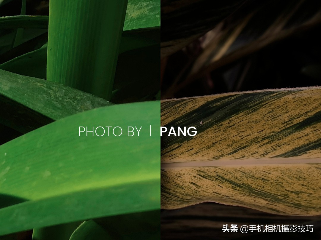 18组普通人拍出来的好照片：把不相关的东西拍到一起，效果很神奇