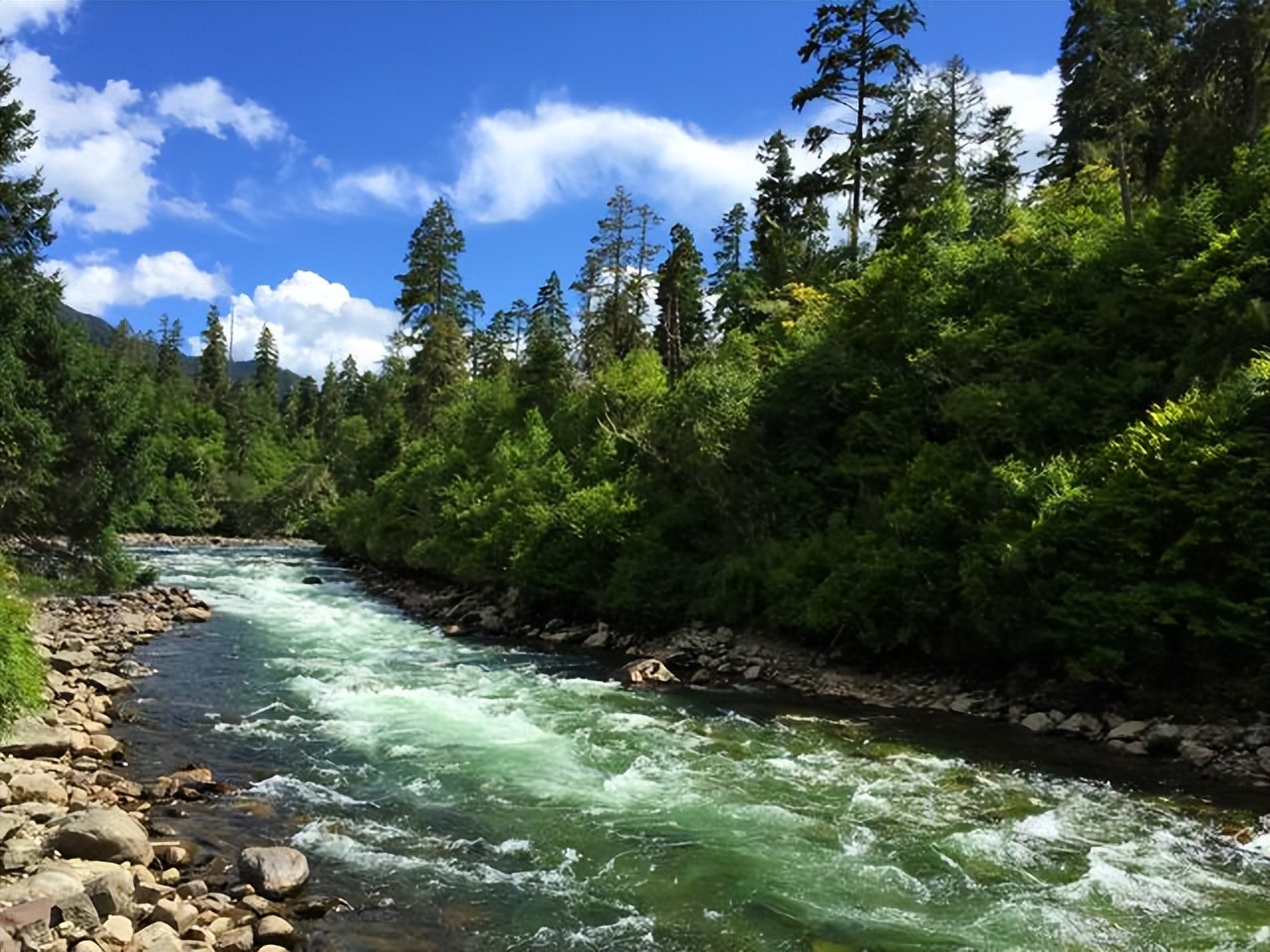 藏南林芝管辖地图,西藏藏南林芝县