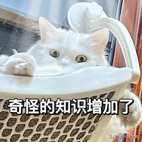 保温杯底部标签能不能撕掉,保温杯底部贴纸真的不能揭