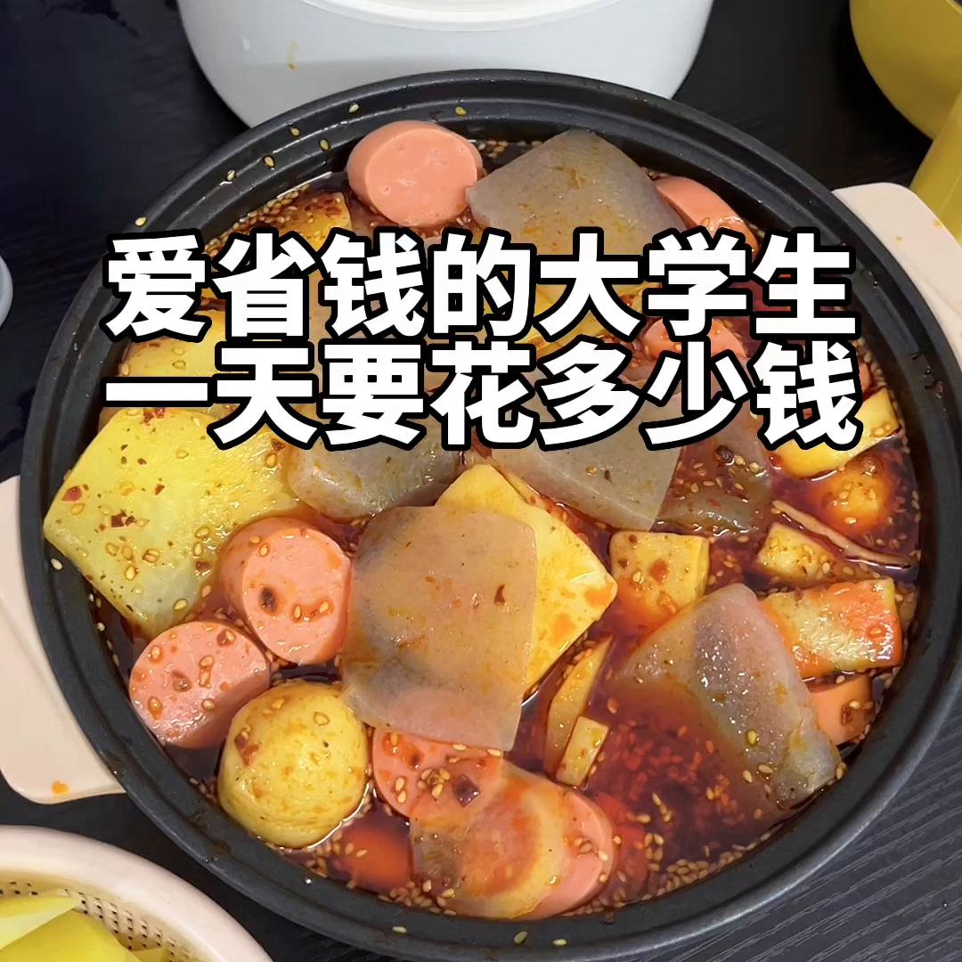 抠搜大学生一天要花多少钱？爱省钱的大学生攒钱低物欲日...