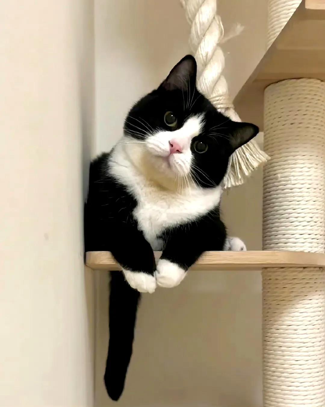 简约朋友圈背景图片大全,简约朋友圈背景图小太阳