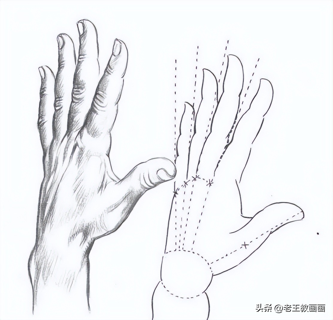 素描基础入门教程自学,素描基础入门小教程
