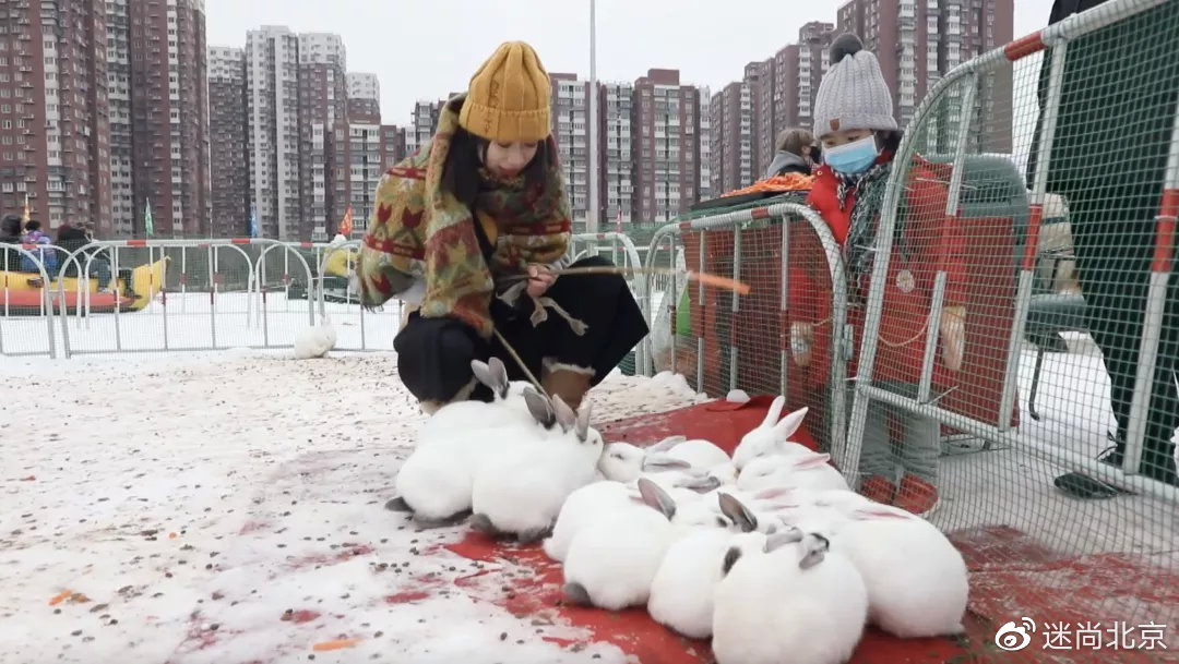 公园雪中浪漫,公园冰雪游乐场