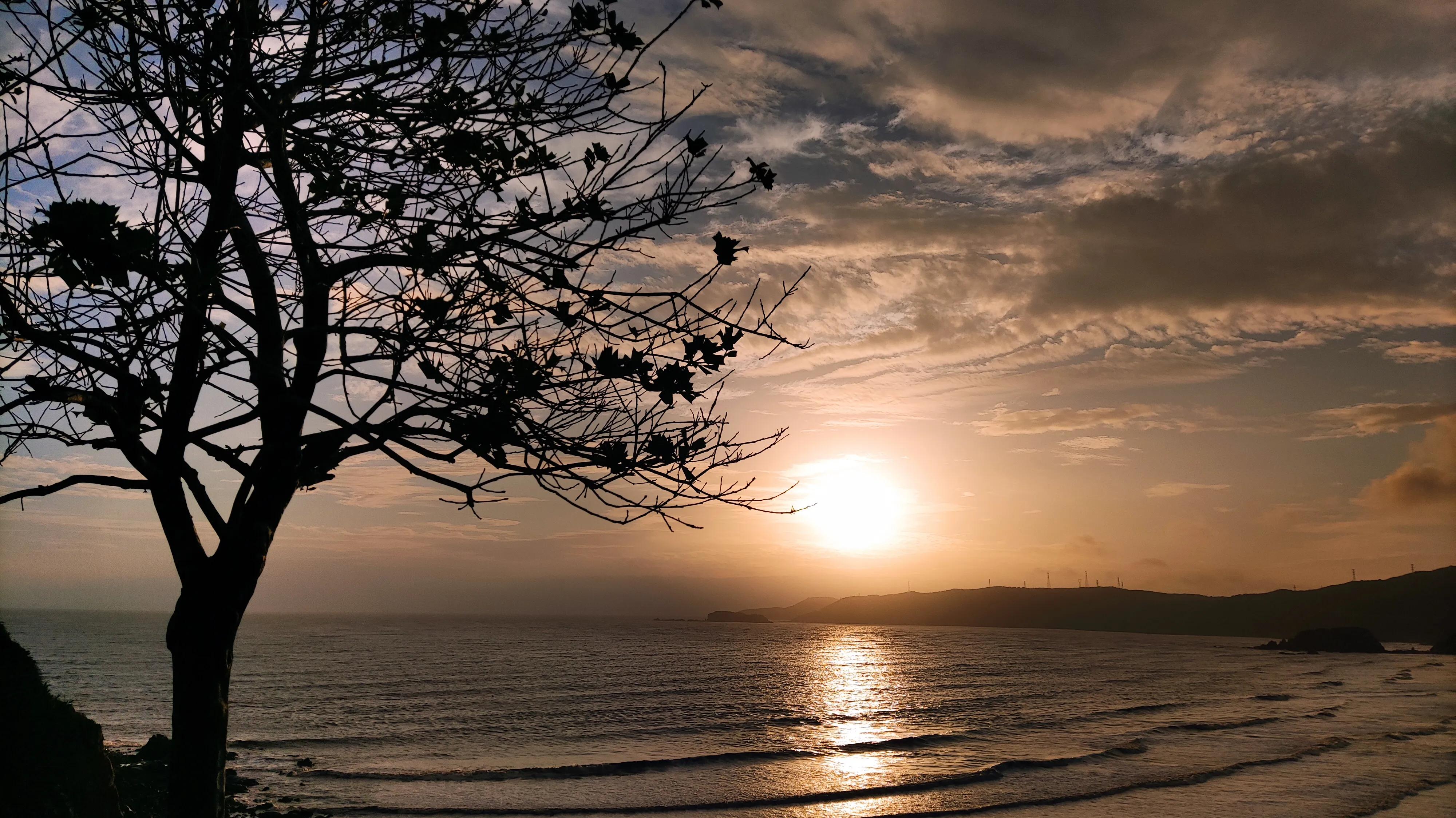 手拍世界手机摄影平台,手拍世界摄影网