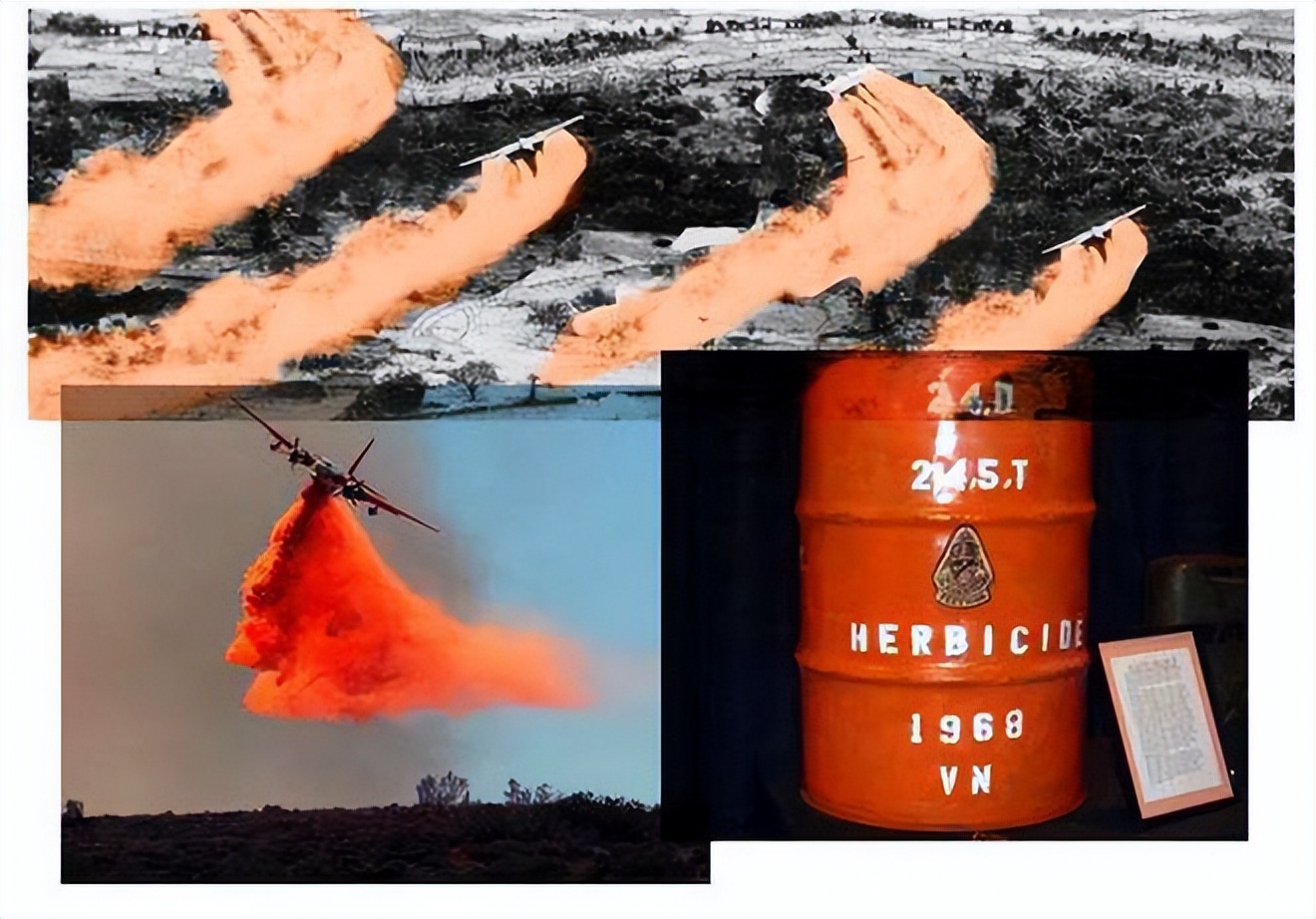 1979年越南自卫反击战伤亡人数,美国和越南的伤亡对比