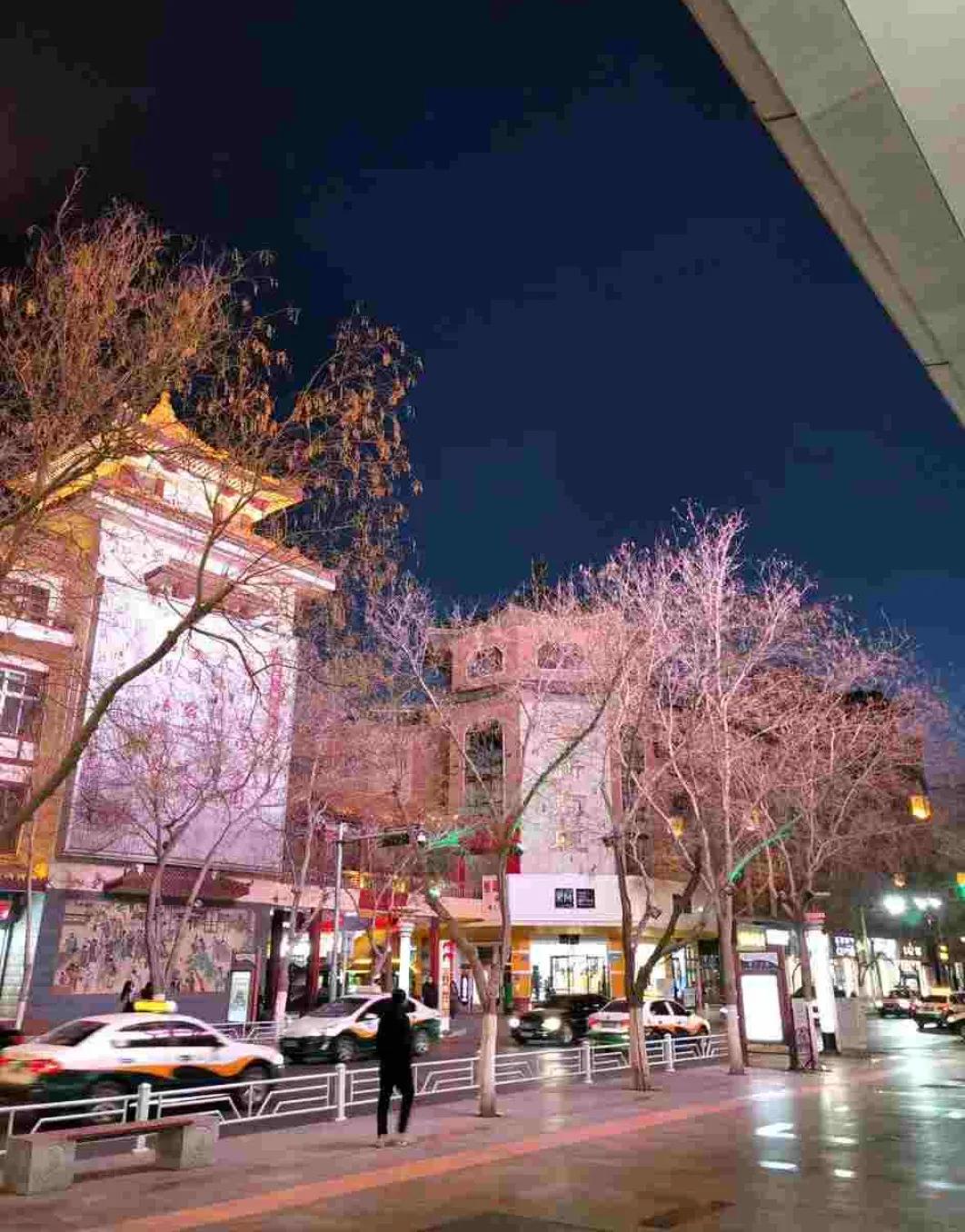 喜宝剧评 (电影喜宝爱情和面包你选谁)