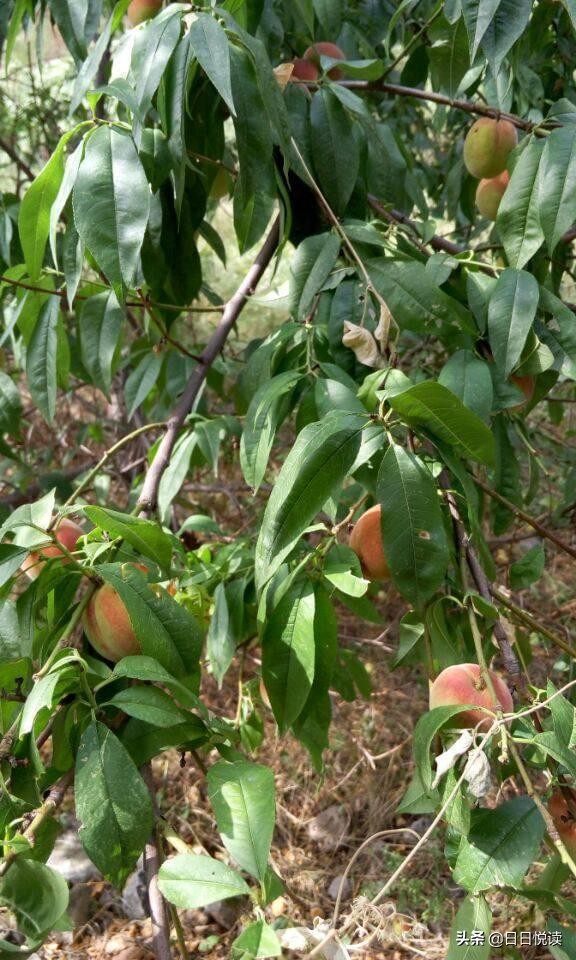 真实的山西矿工,真实的矿工生活和工作情况