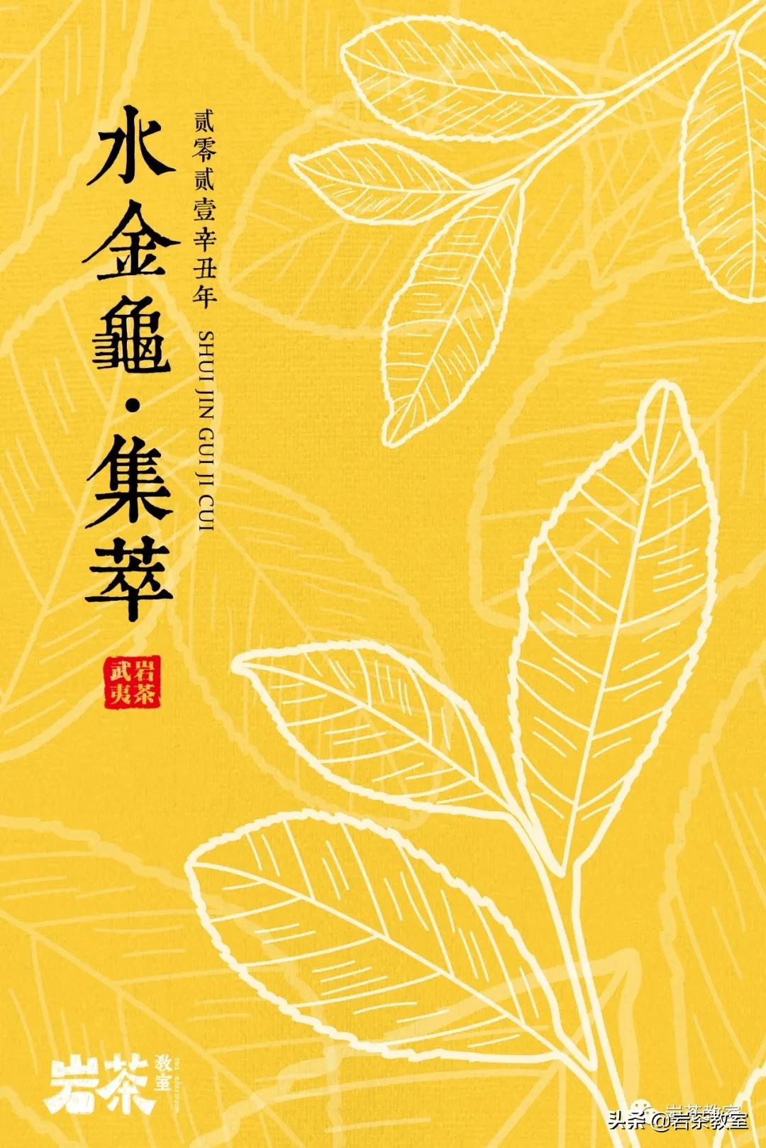 山场主人徐发文|做好丹苑仅有的六斤水金龟很麻烦,也很好玩