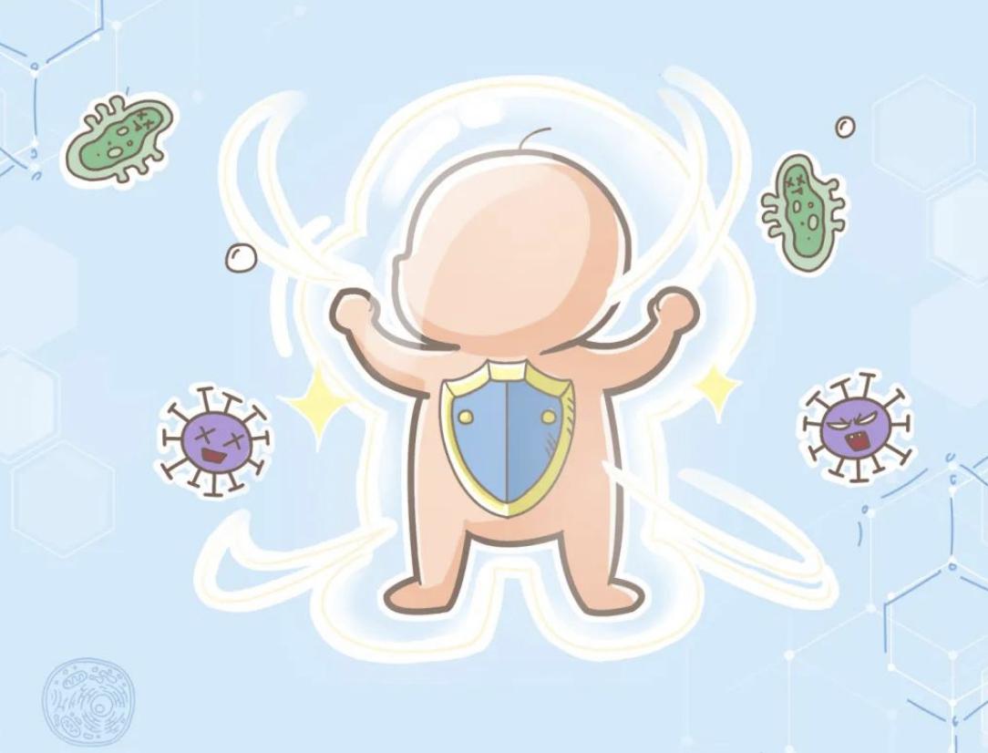 合生元益生菌的功效,合生元益生菌功效