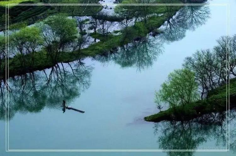 100首关于春天的经典诗词,经典诗词十首春