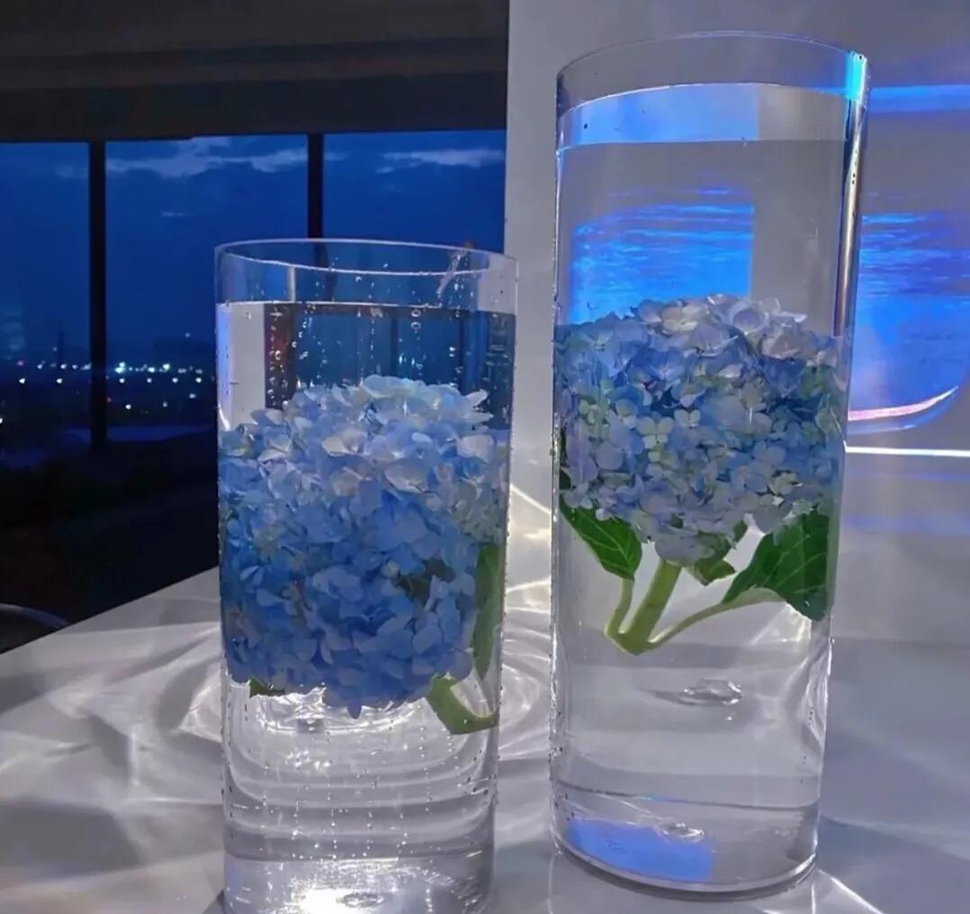 感悟生活的一段话经典语录,感悟生活的句子经典名言