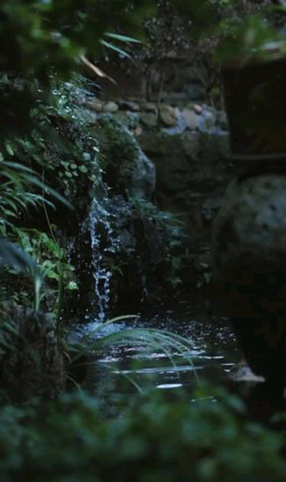 鏃跺厜娓呮祬宀佹湀鎮犵劧,宀佹湀娓呮祬鏃跺厜鎮犵劧