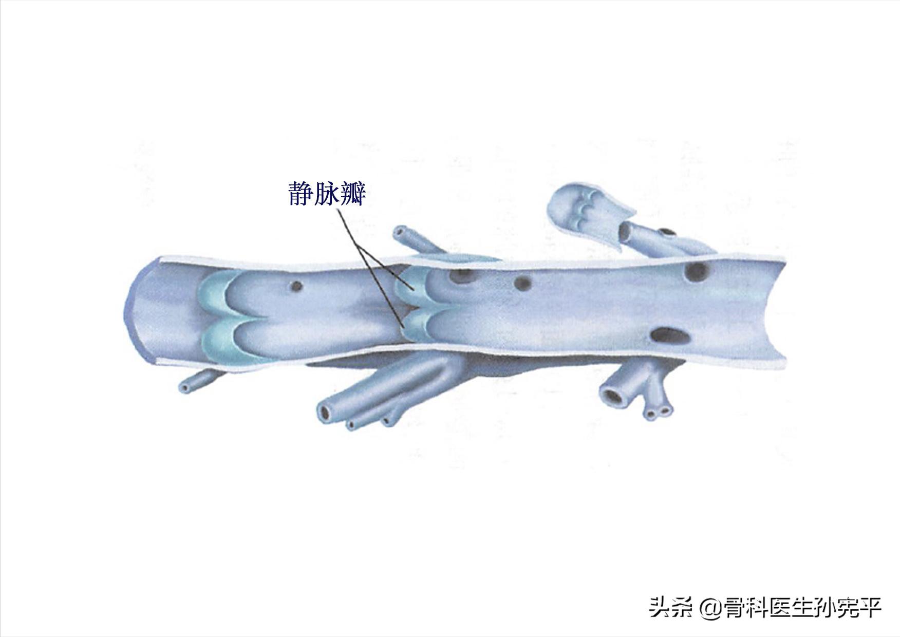 左下肢水肿的原因和治疗,儿童下肢水肿是什么原因