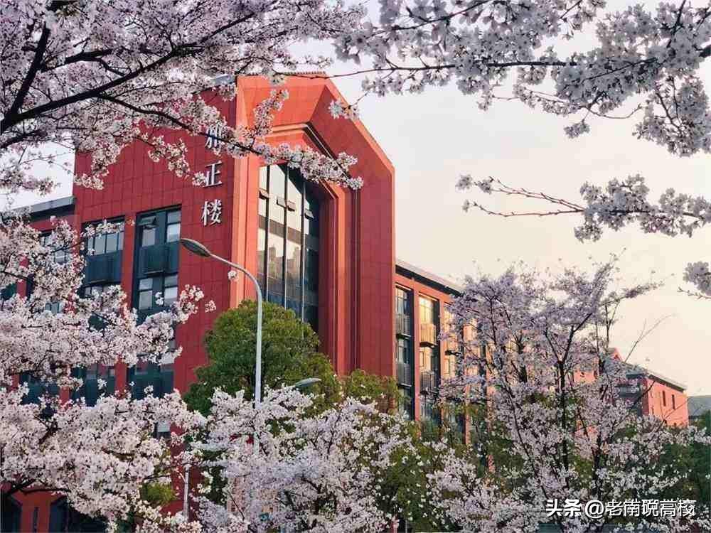 贵州大学和广西大学，两所实力偏弱的211大学，你会选择哪一所？