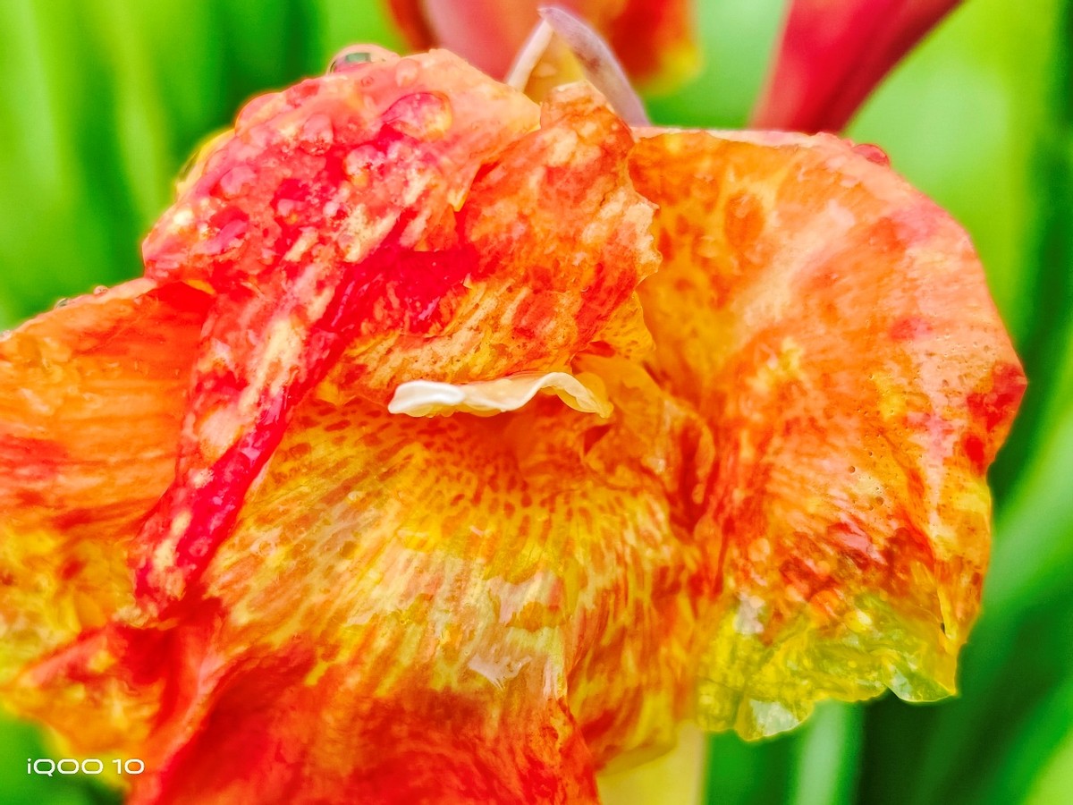 电竞职业选手用的iqoo10pro,iqoo10pro电竞模式