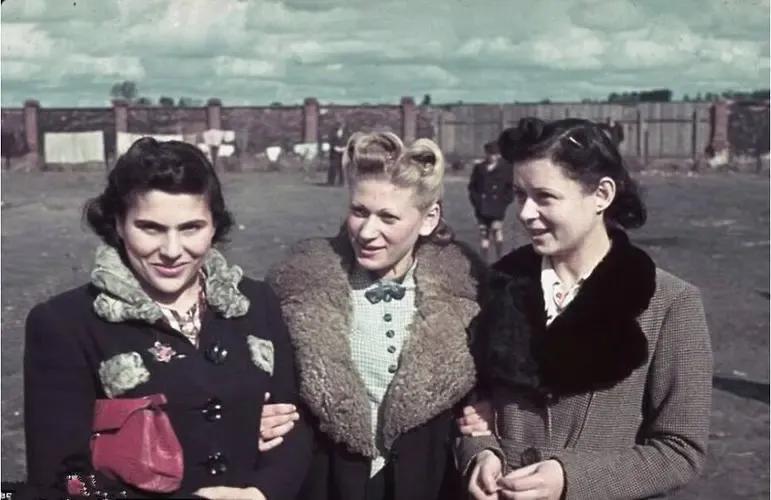 犹太人的起源和历史简短,犹太人的起源和历史讲解