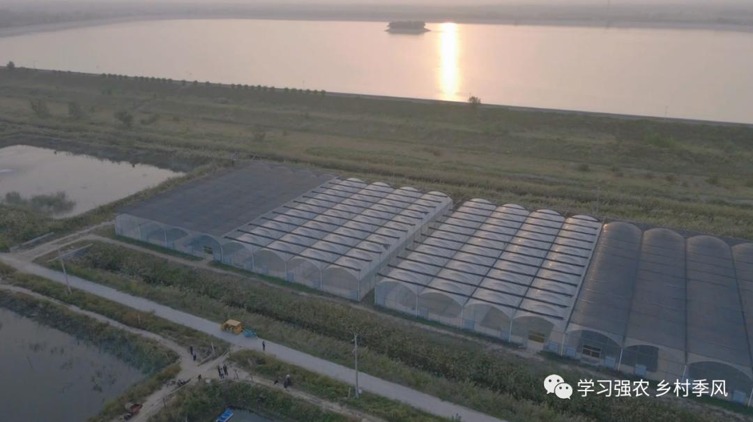 建筑老板养泥鳅，跻身“农民合作社500强”