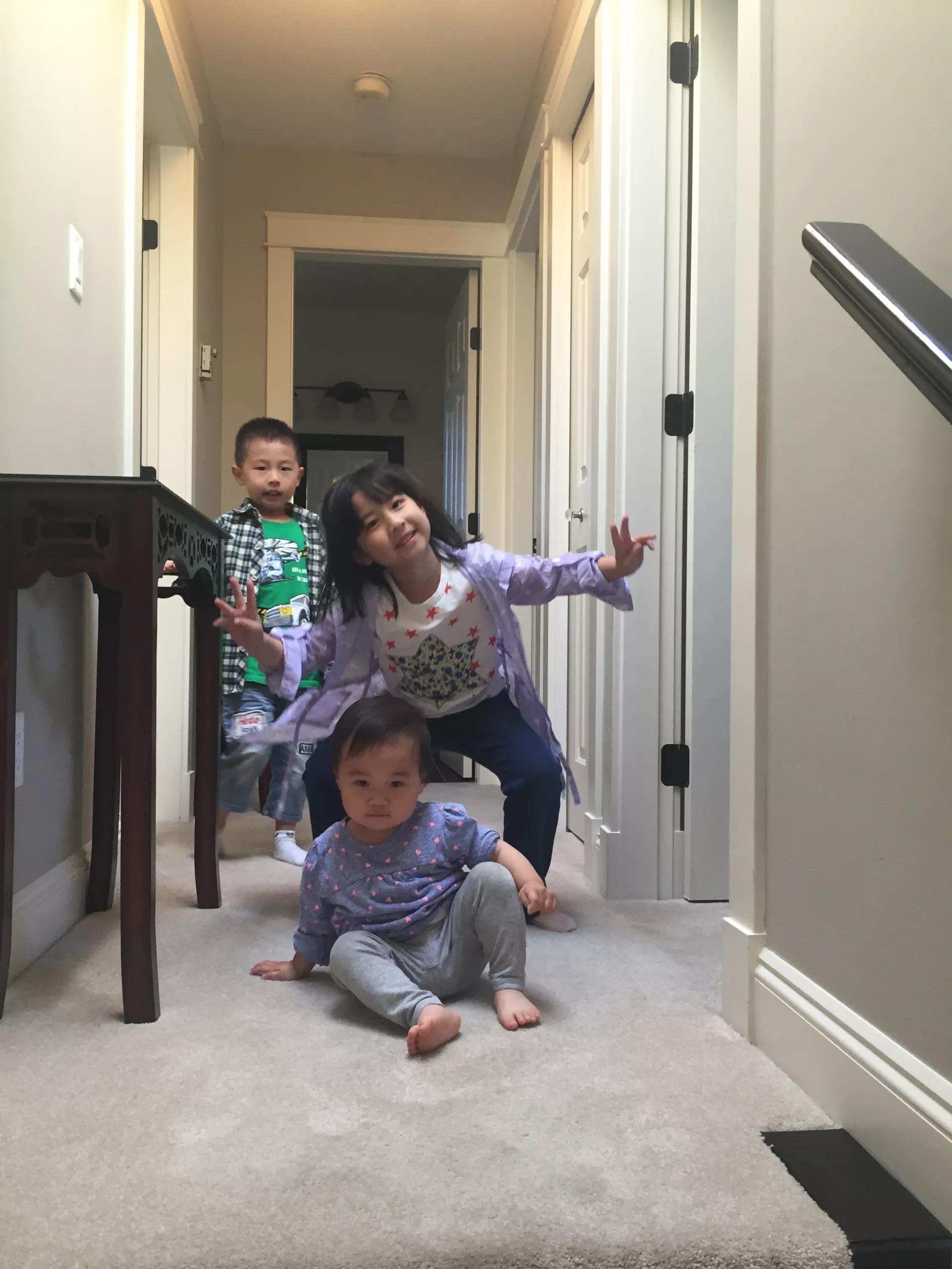 青岛如何带上猫猫去加拿大多伦多,钱猫猫加拿大之旅