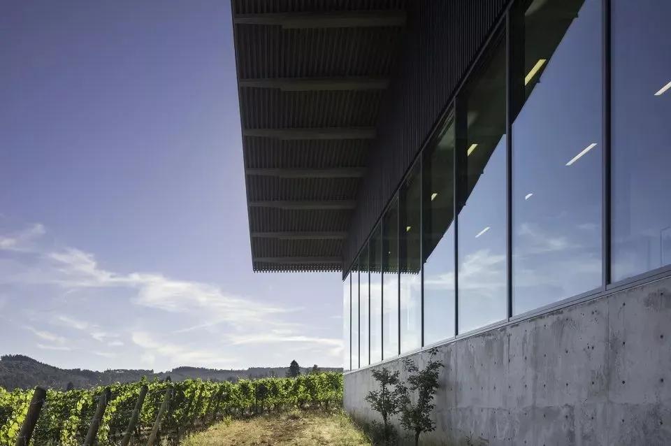 同样买酒庄,中国人和日本人的操作完全不同