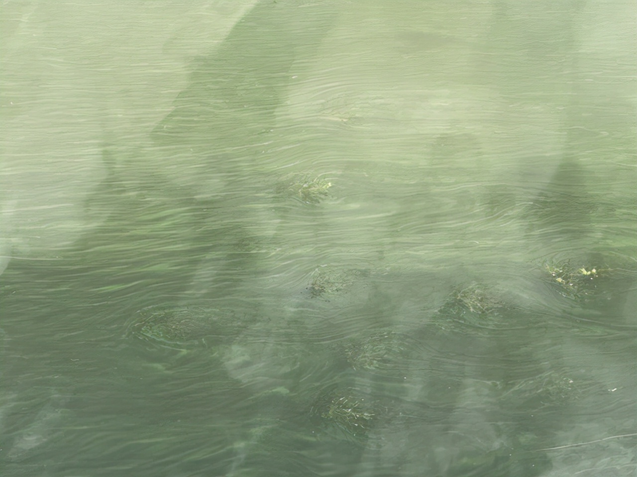 昆明一座让人流连忘返的城市,被低估的旅游城市昆明