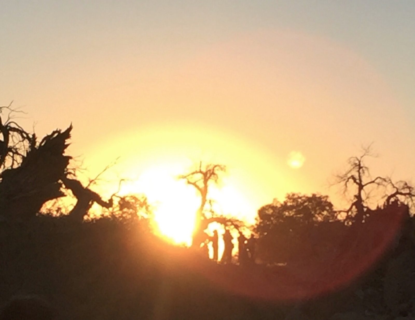 北京自驾额济纳胡杨林十天攻略,从北京到额济纳胡杨林线路