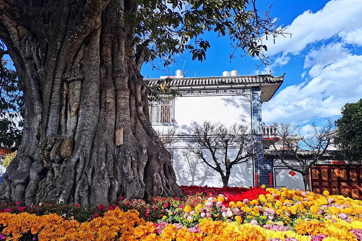 大理洱海五个古镇,大理洱海一圈有多少打卡地