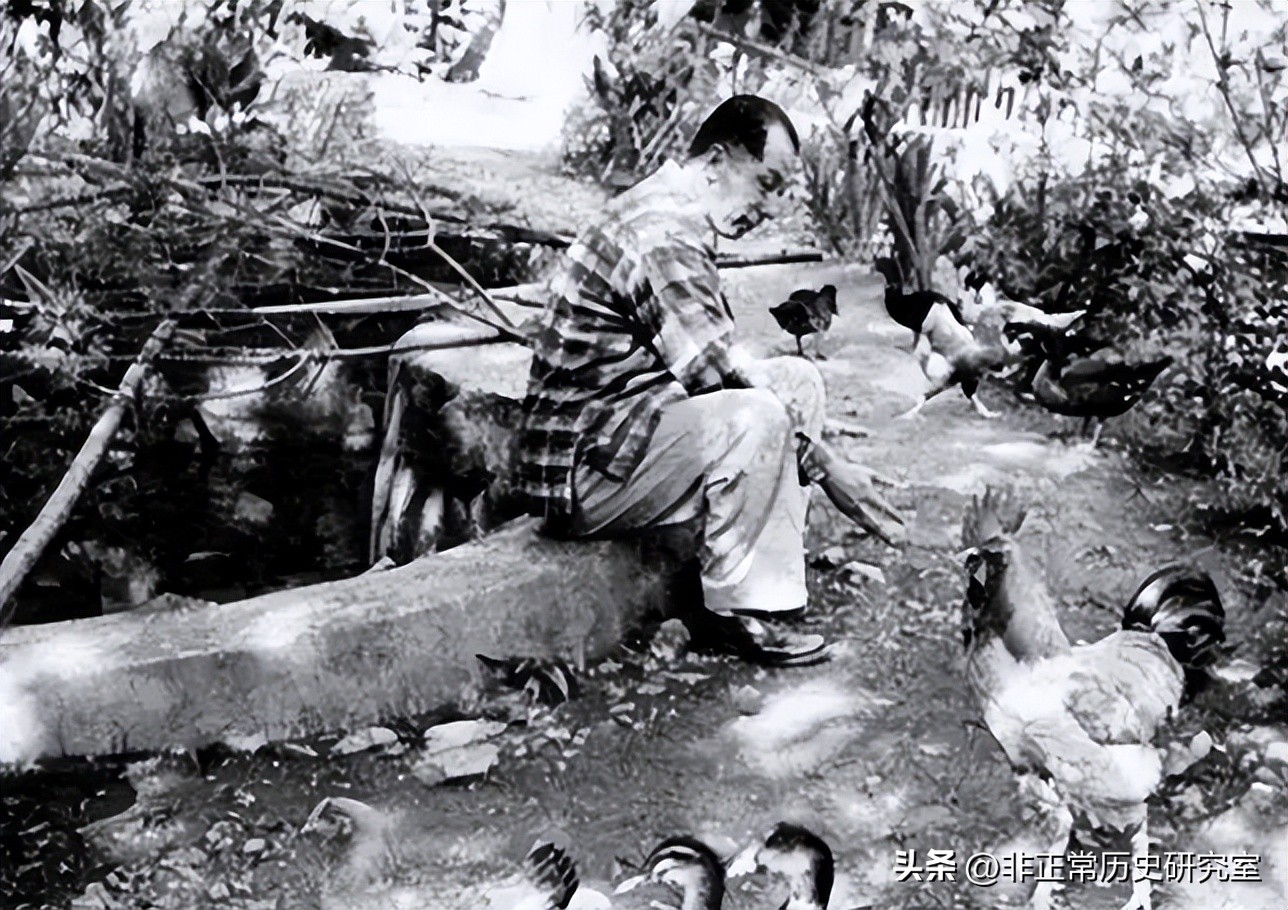 张学良的真实照片及影像,张学良一百张照片再现