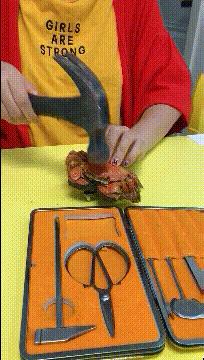 今天在老婆包里发现的,她说是治牙疼的,我觉得不像啊。