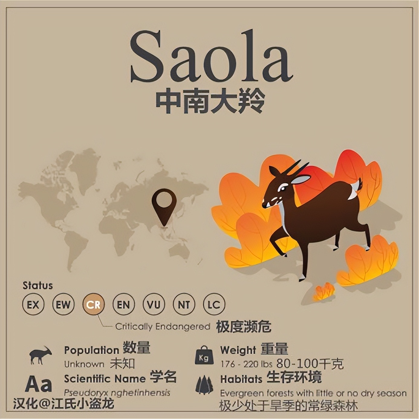 世界上最罕见的麒麟,最稀有的麒麟是谁