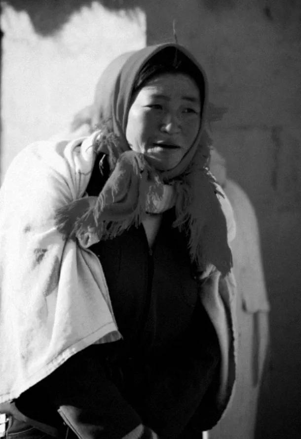 长篇小说《红杉树》连载八