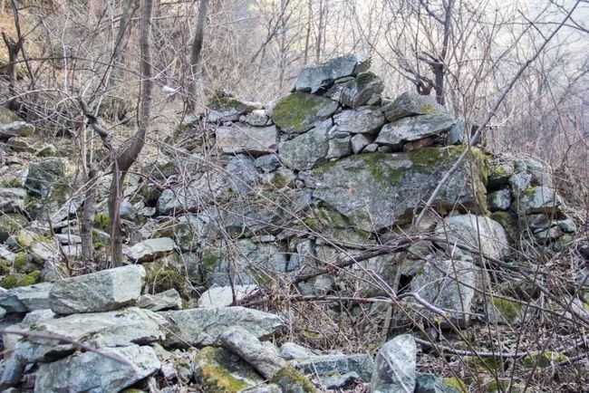 冬天寻访秦岭大峪，不但还有古道遗迹可循，还能见到这条野生广告